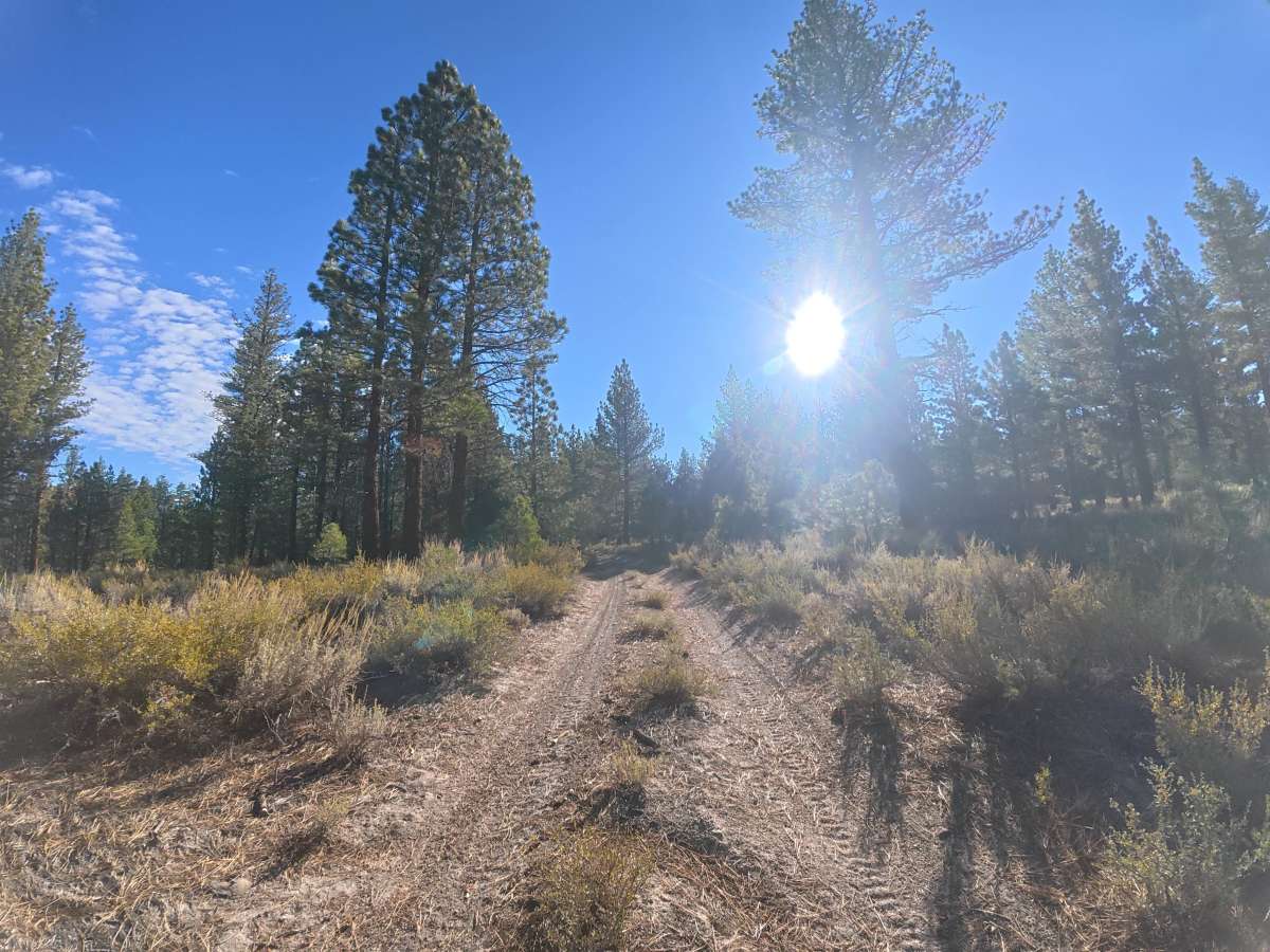 Antelope Loop - FS 3S39 photo 4