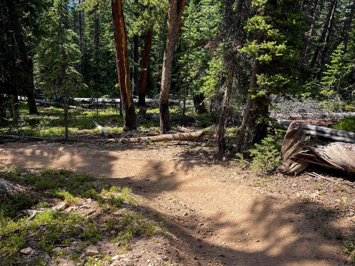 Governor King Trail #GH67  photo 5