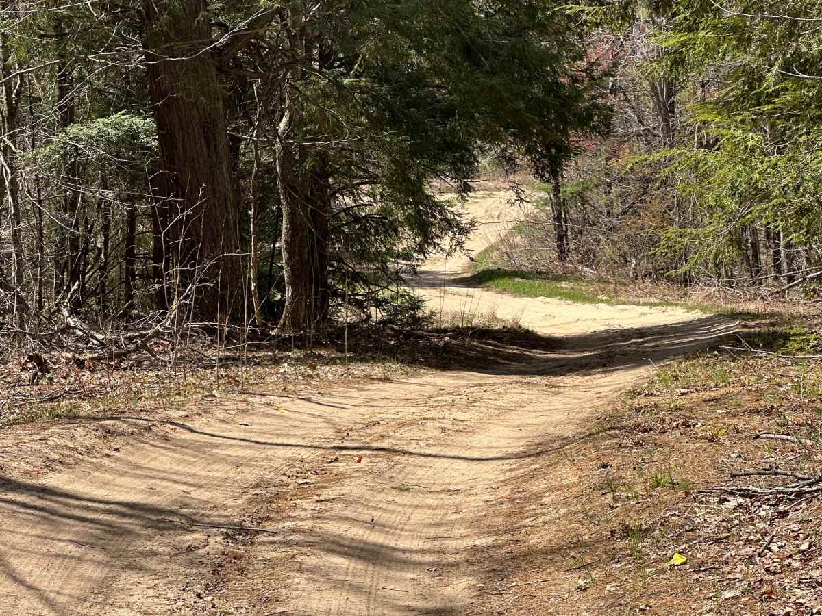 Gump Lake Trail photo 2