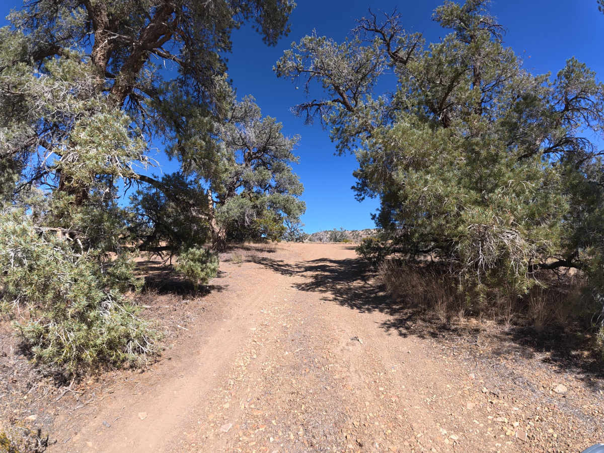 Deep Spring Overlook Trail photo 2