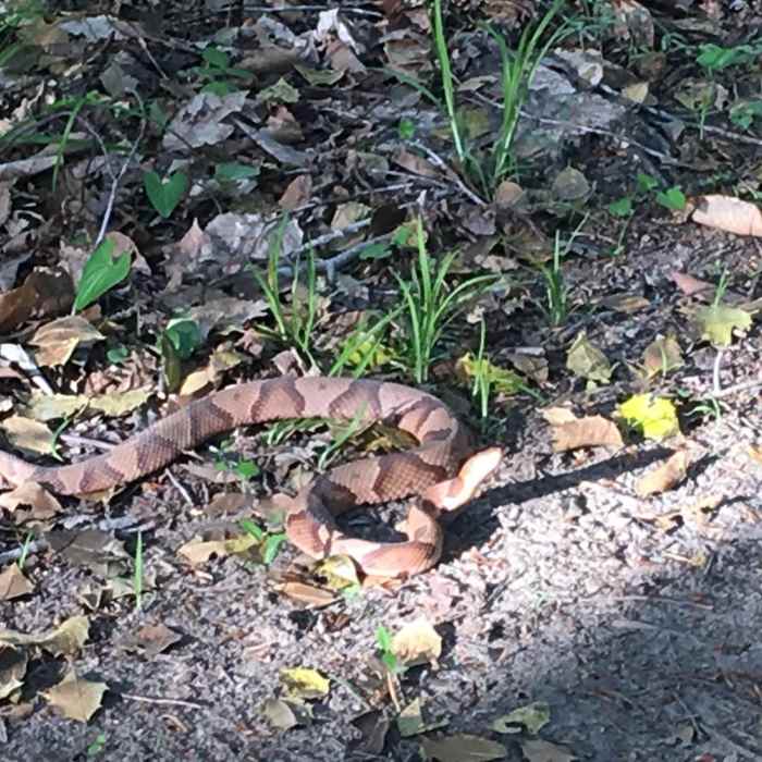 Near Radcliffe Conservation Area Loop