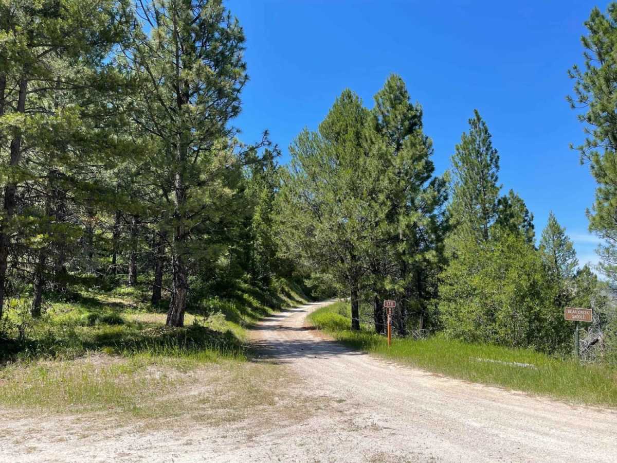 Medicine Point Trailhead photo 3