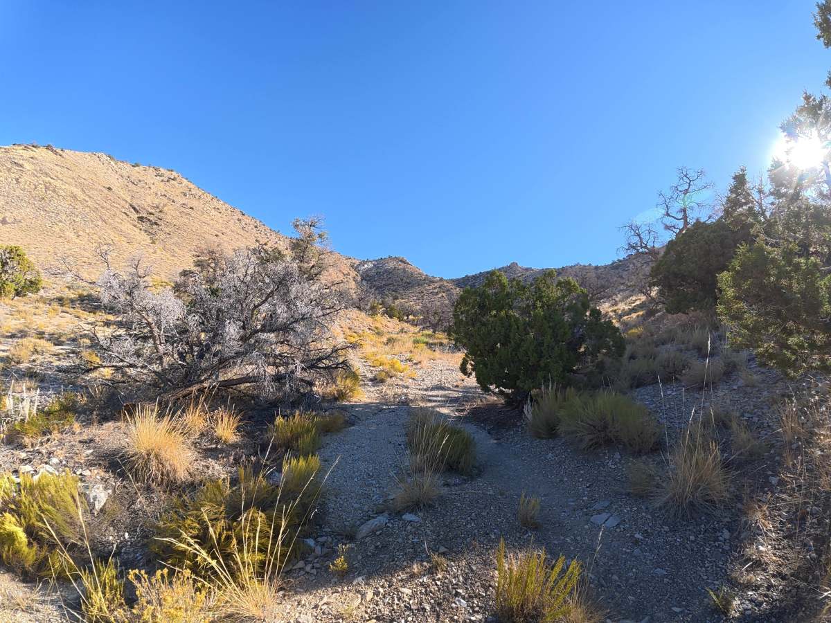 Cowhorn Hill photo 5