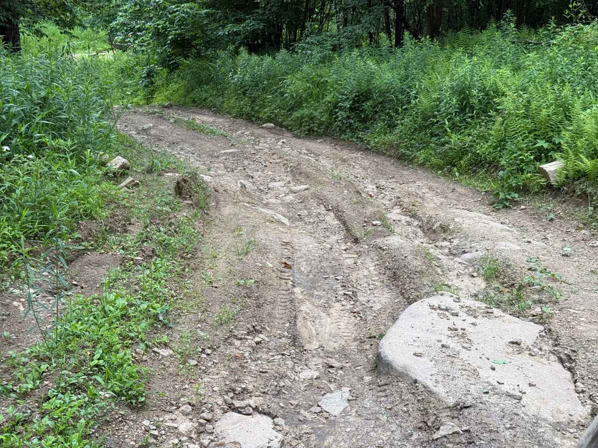 Chubbs Trail photo 5