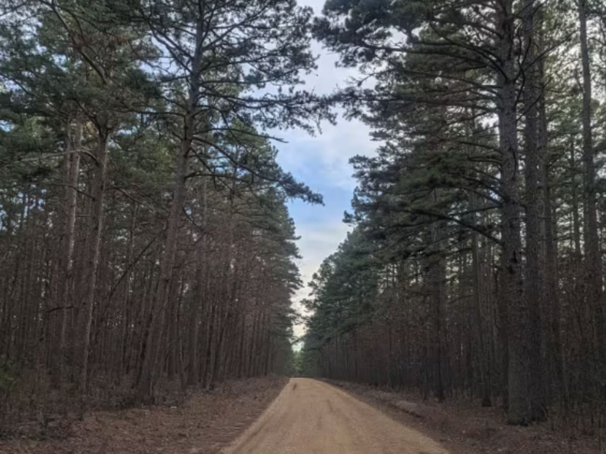 Karakaghne Scenic Drive photo 3