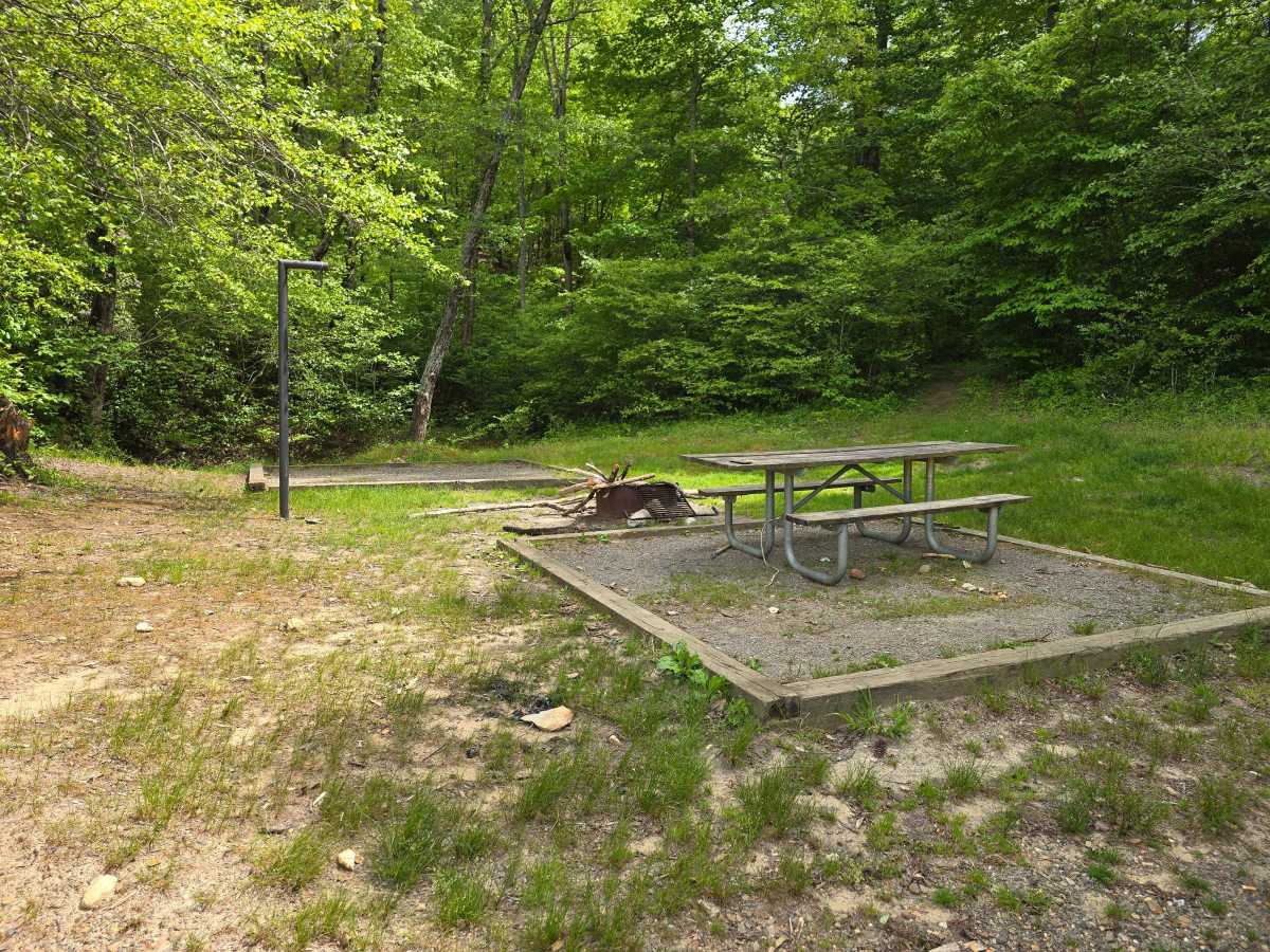 Persimmon Trail photo 2