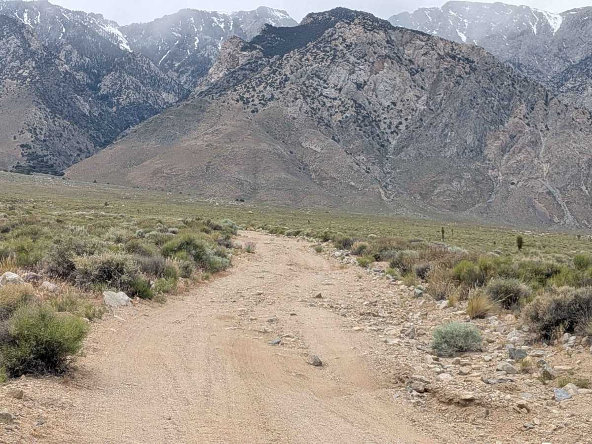 Walker Creek Road - FS 19S01 trail photo