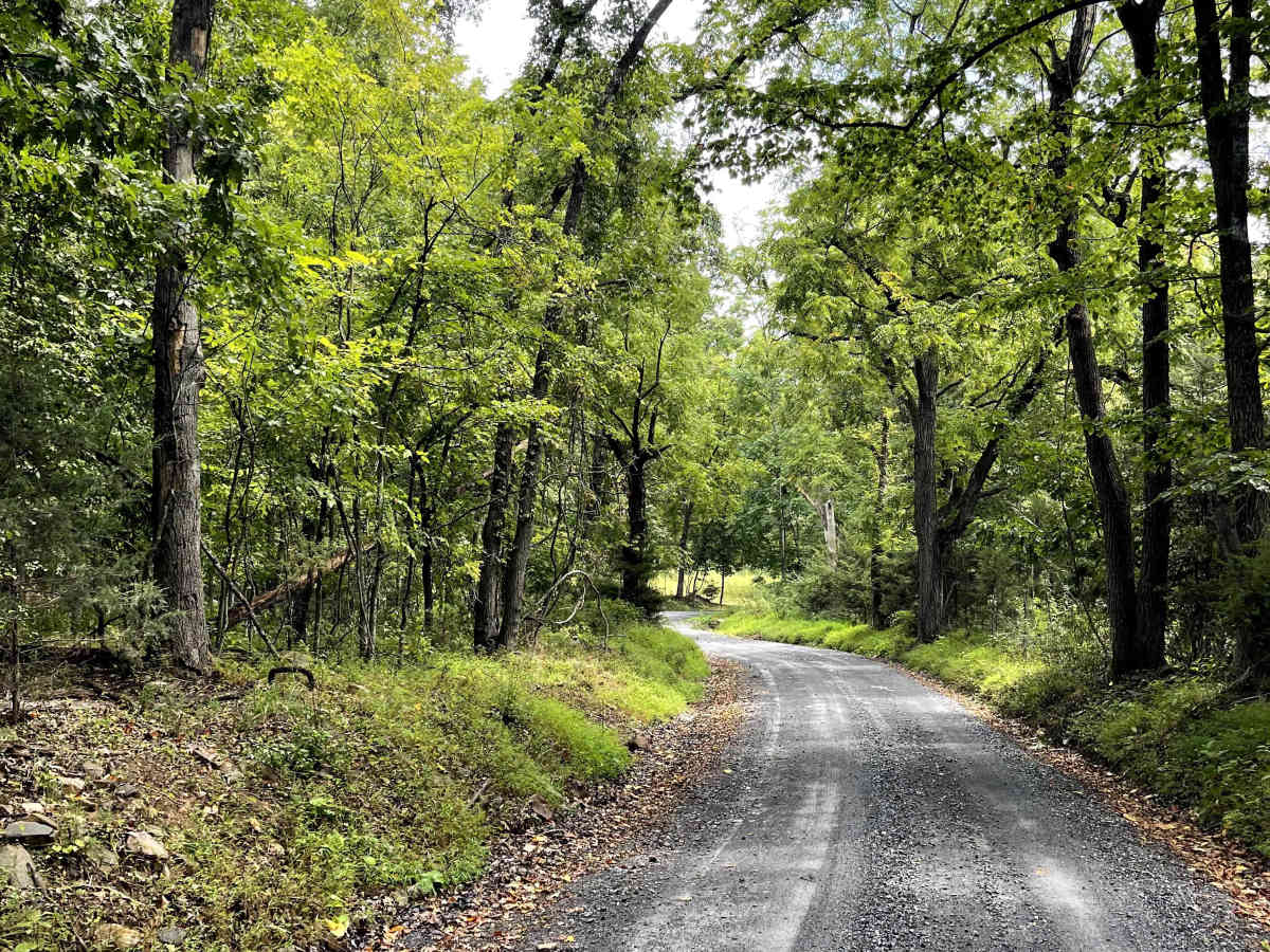 Fredericksburg Road photo 4