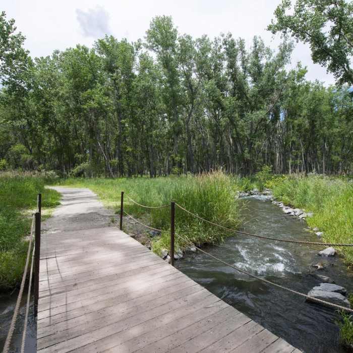 Near Wetland Loop Trail Hike