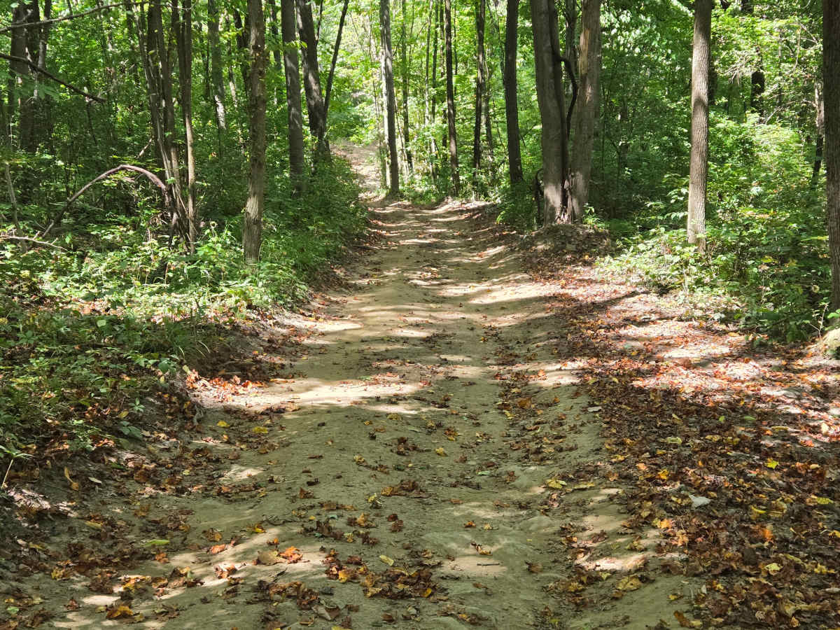 Trail 51 photo 3