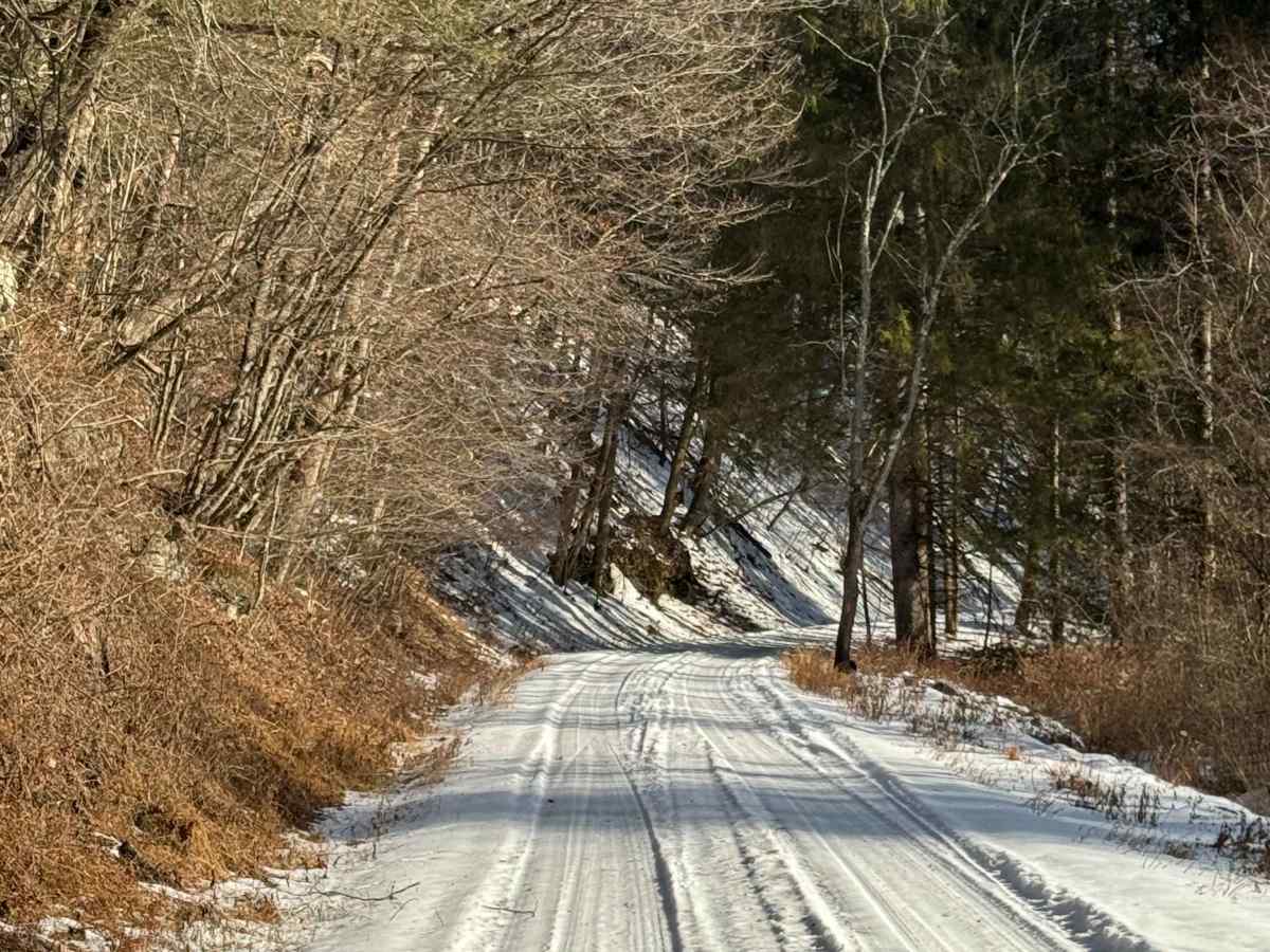 Upper Pleasant Stream Road photo 4