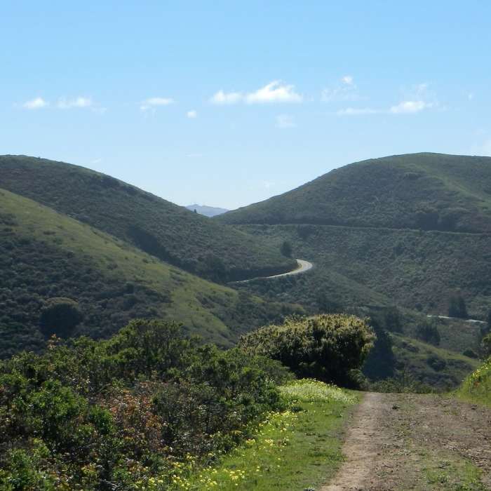 Near Golden Gate Bridge Overlook Out-and-Back