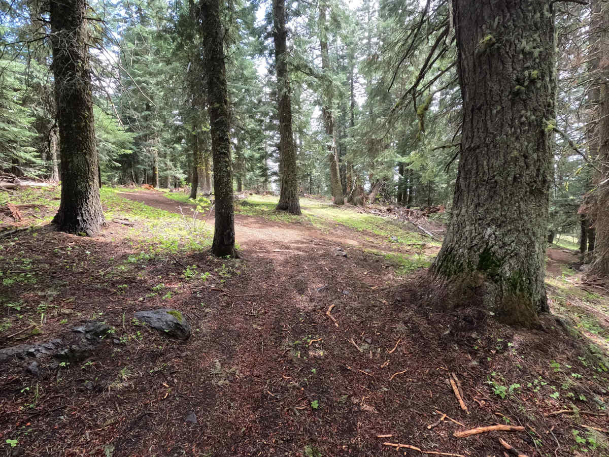 Jeepers Creepers - Trail 260 photo 4