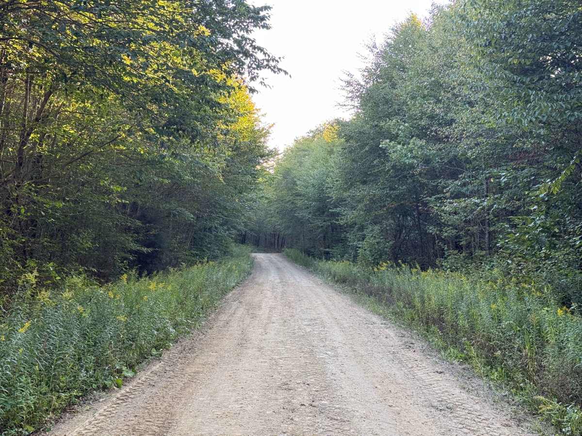 Bump Run - FS 268 photo 3