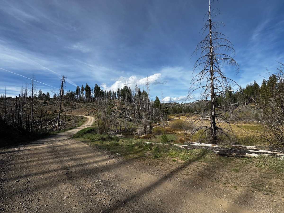 Letts Valley - FS 17N02 photo 4