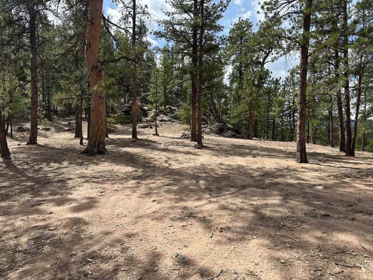 Sixteener Road photo 4