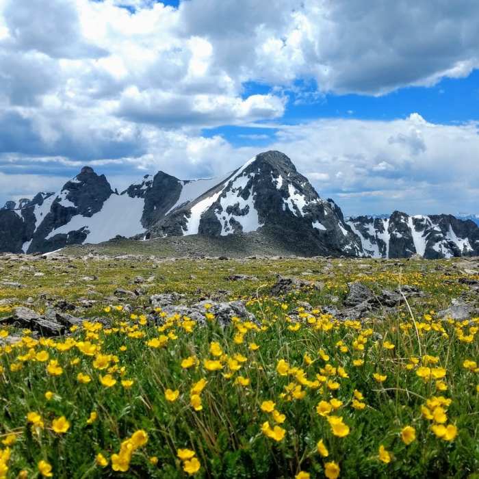 Near Pawnee Pass Trail