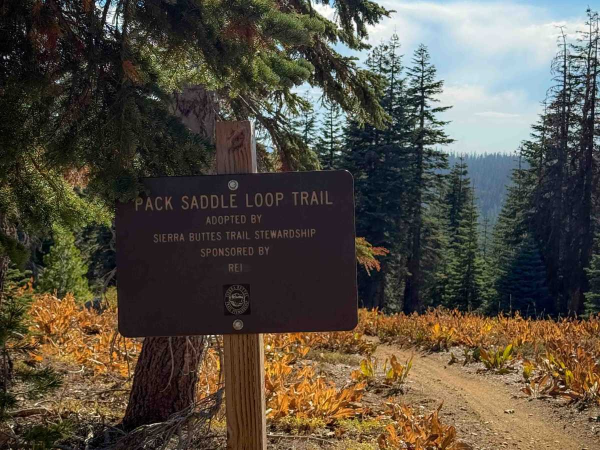 Pack Saddle Loop  trail photo