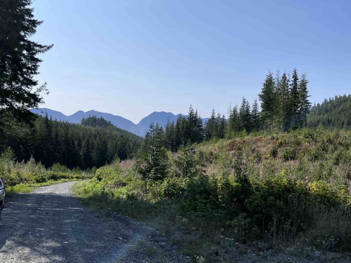 Hwy 19 to Bonanza Lake Rec Site photo 2
