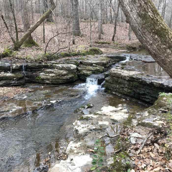 Near Shoals Creek Preserve Loop