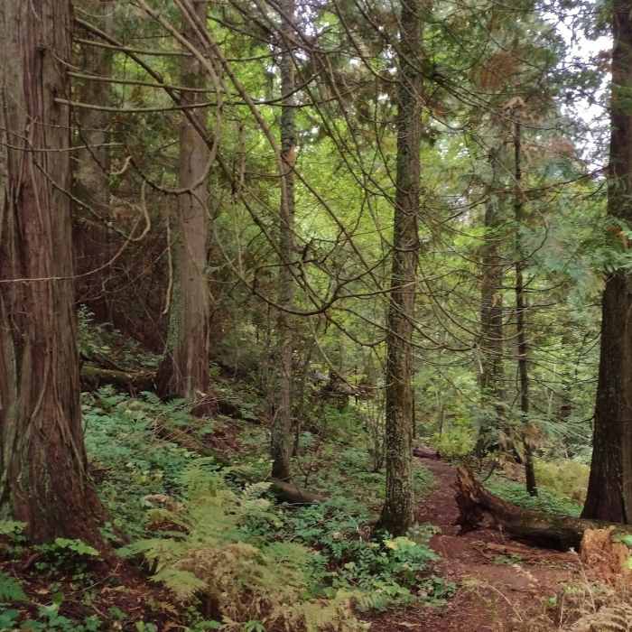 Near Timber Ridge Lane