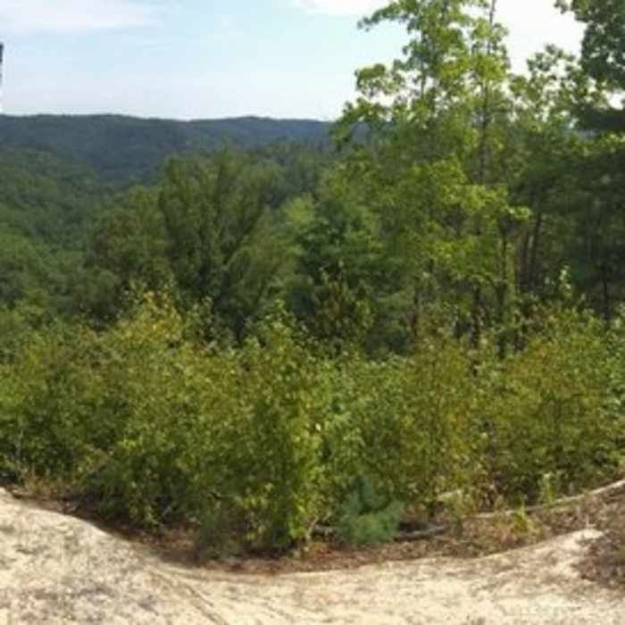 The View Near Pinch-Em Tight Ridge Loop