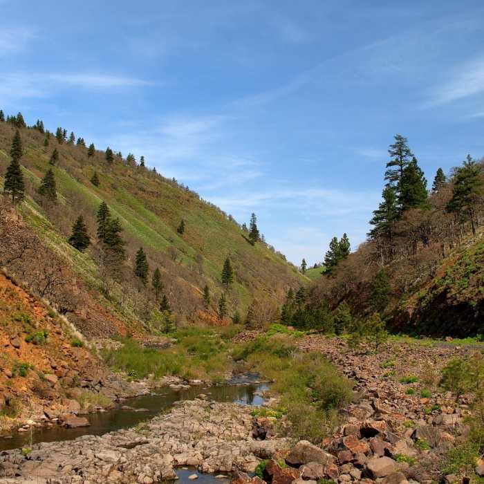 Near Klickitat Trail: Swale Canyon Segment