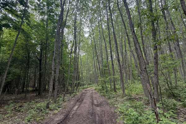 Lackey Trail South