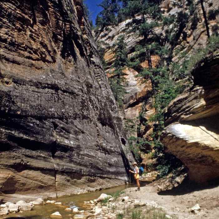 Near The Narrows: Chamberlain's Ranch to Big Spring