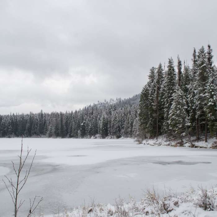 Near Stewardship Trail Near Stewardship Trail
