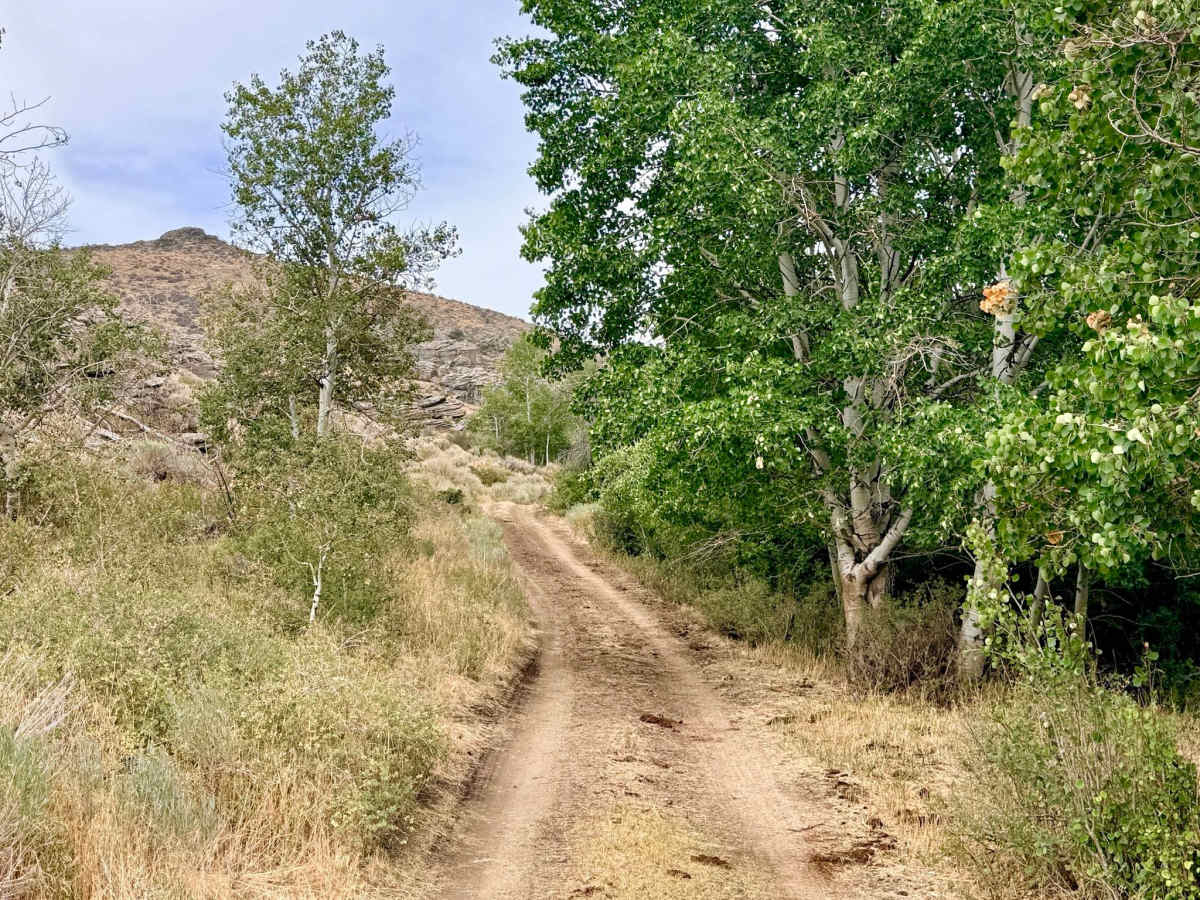 Horse Creek - FS 57506 trail photo