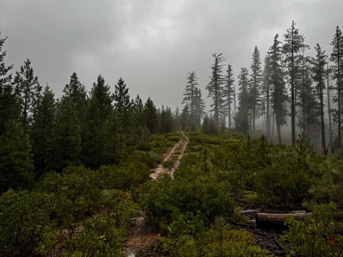 Screwauger Spur Short trail photo