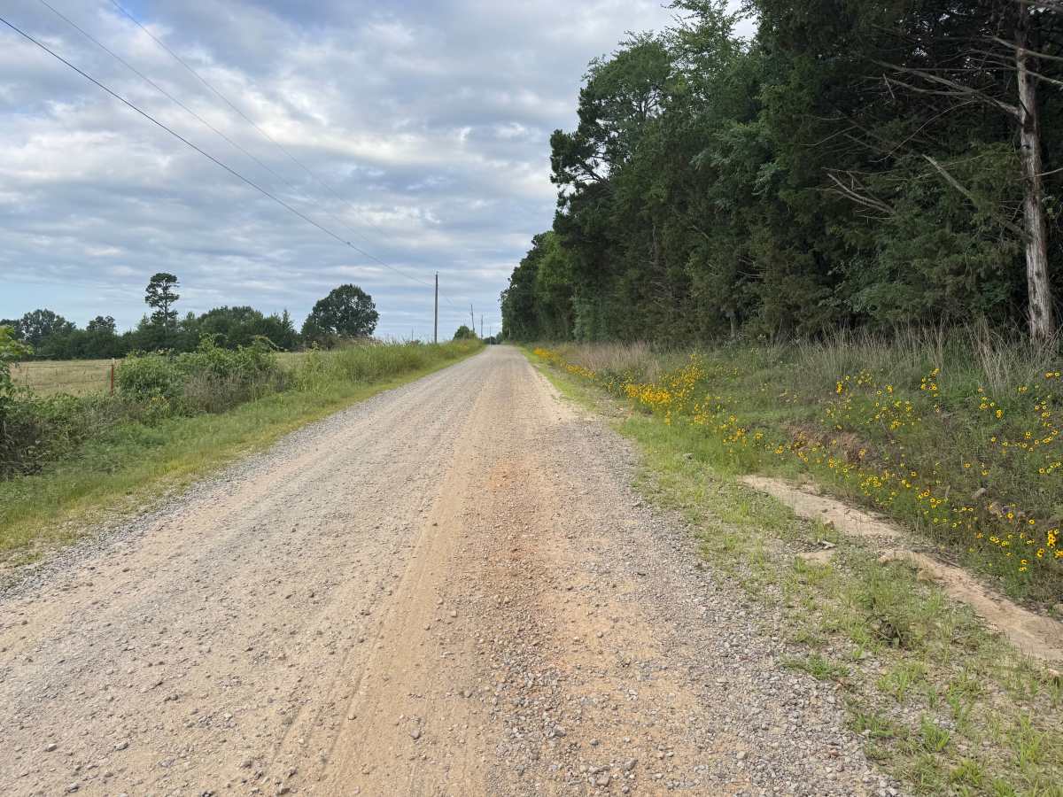 County Road 4418 photo 3