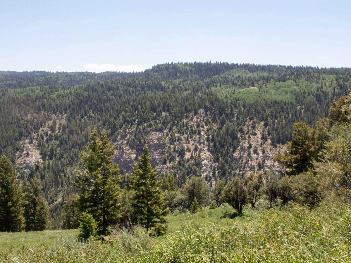 Baxter Ridge Road photo 5