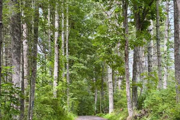 Little Creek Road 16