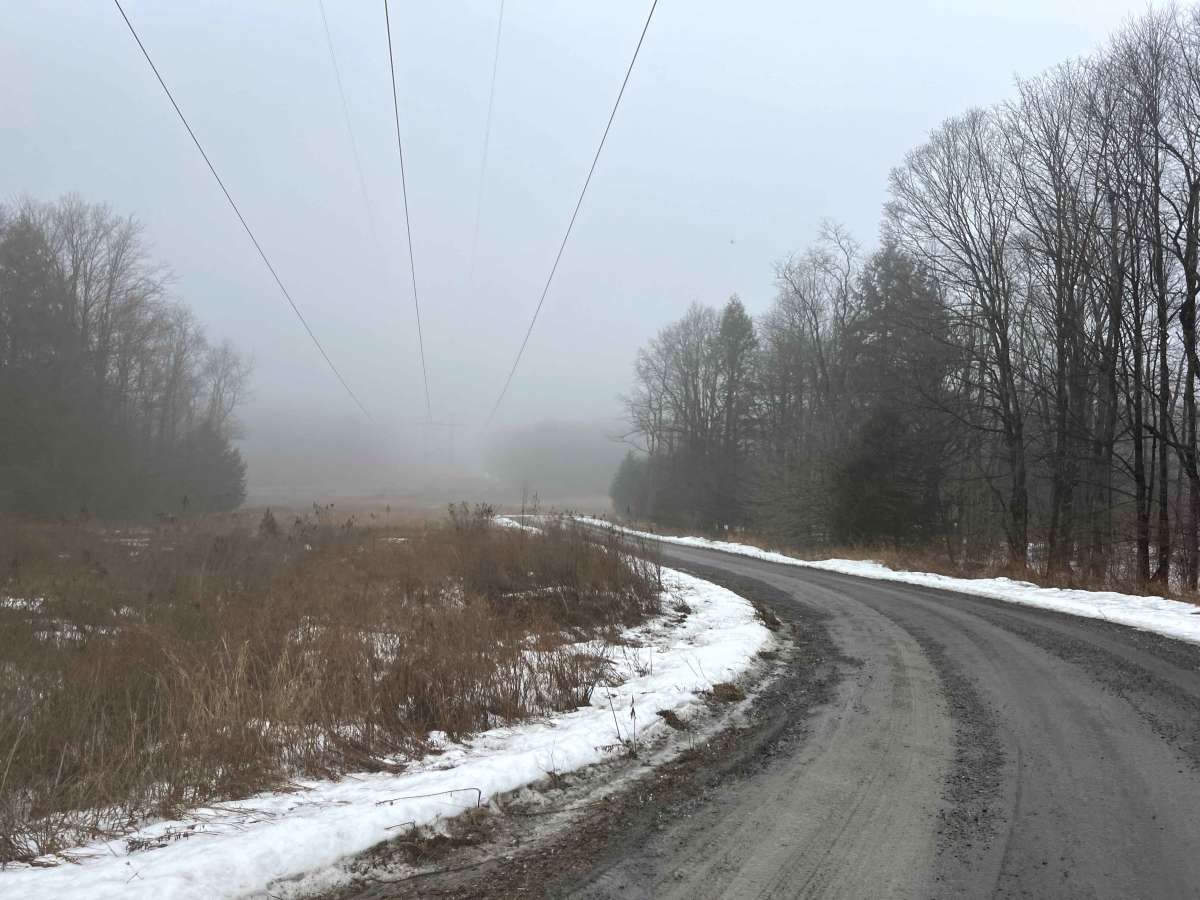 Powerline Road photo 4