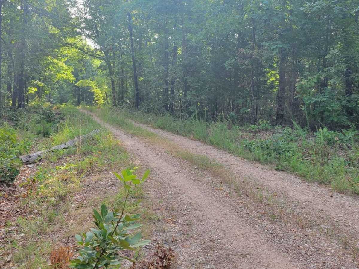 Gooseneck Trail photo 6