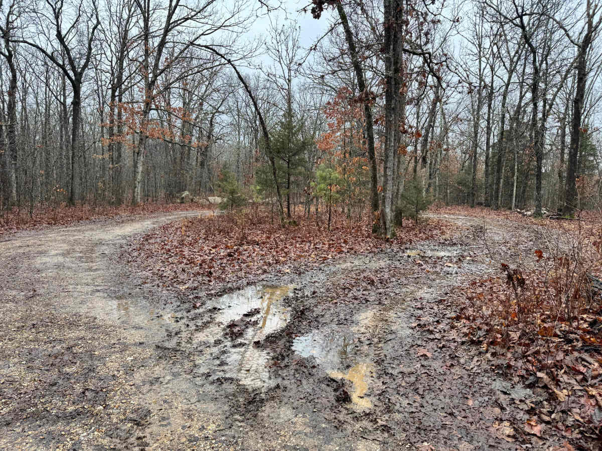 FS 1763 trail photo