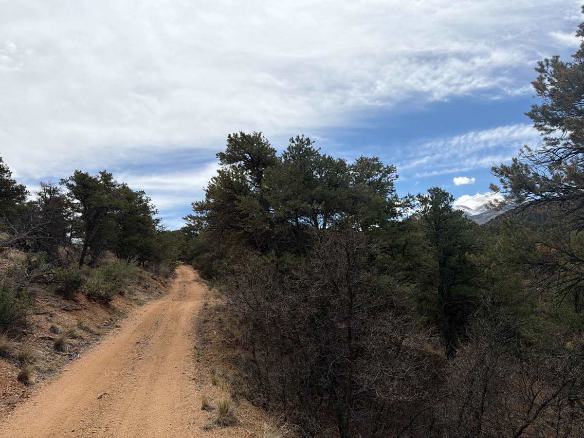 BLM 6195 photo 3