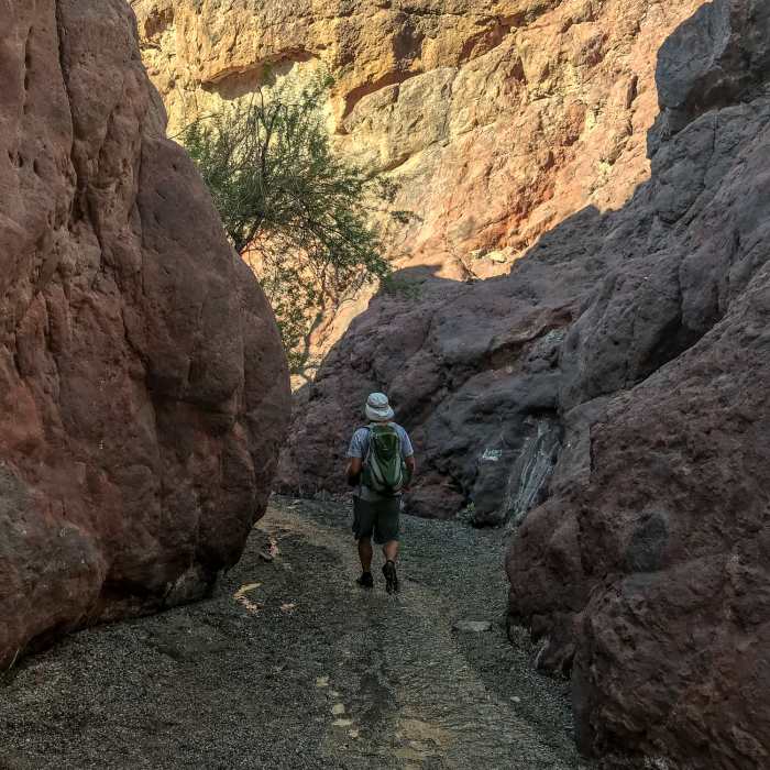 Near White Rock Canyon