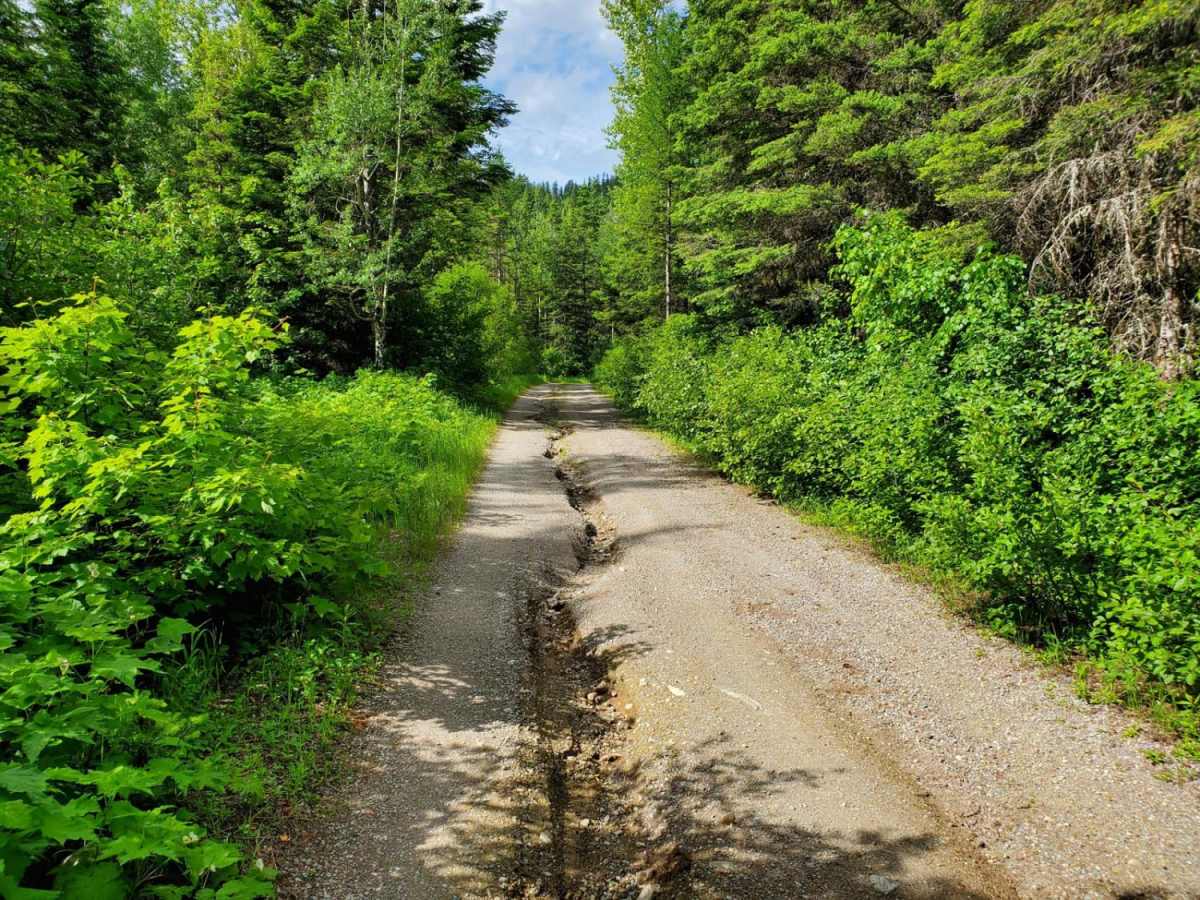 Peter's Ridge Road photo 3