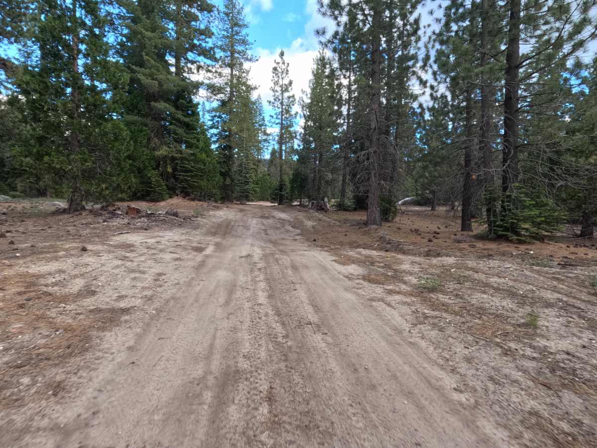 Windy Frisco Road - FS 12N99C photo 3