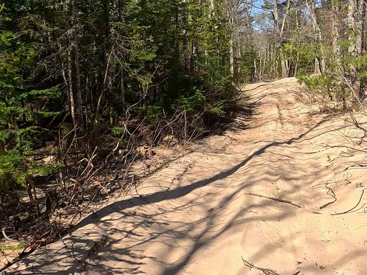 West Wildcat Road photo 6