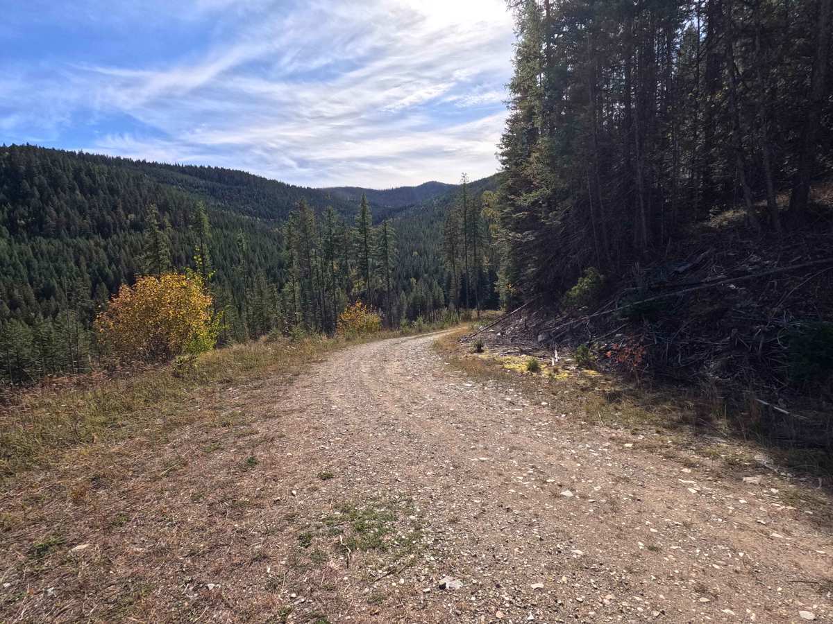 John’s Creek - FS 2200500 photo 5