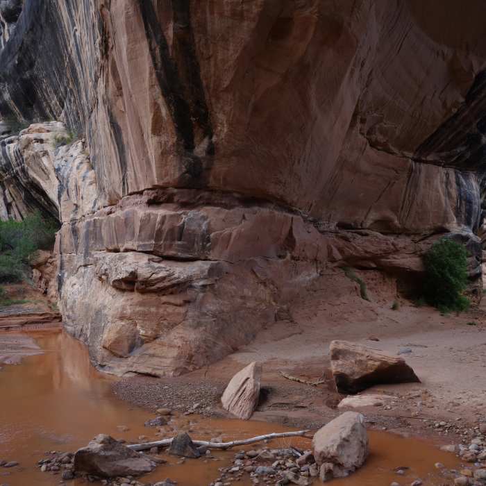 Near Kachina Bridge Trail