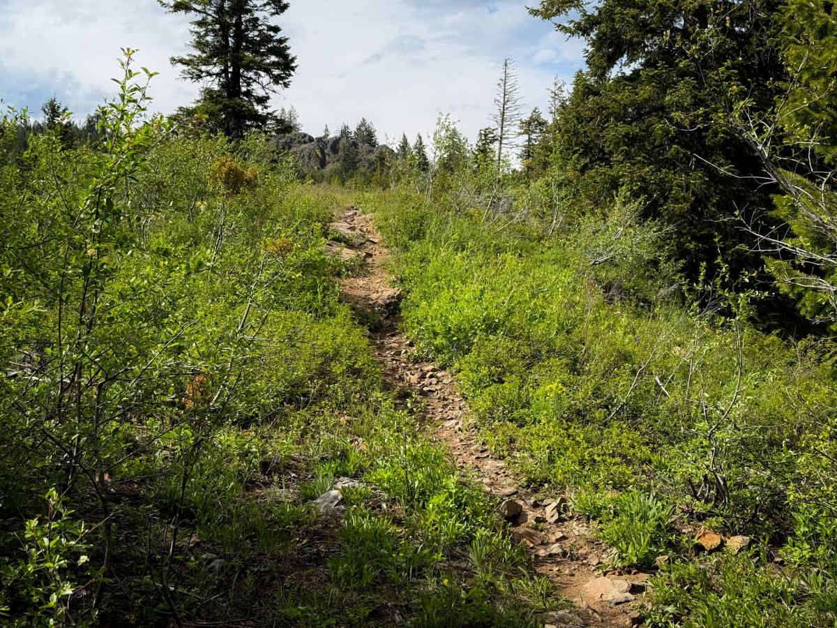 Ridgeline - Trail 320  photo 5