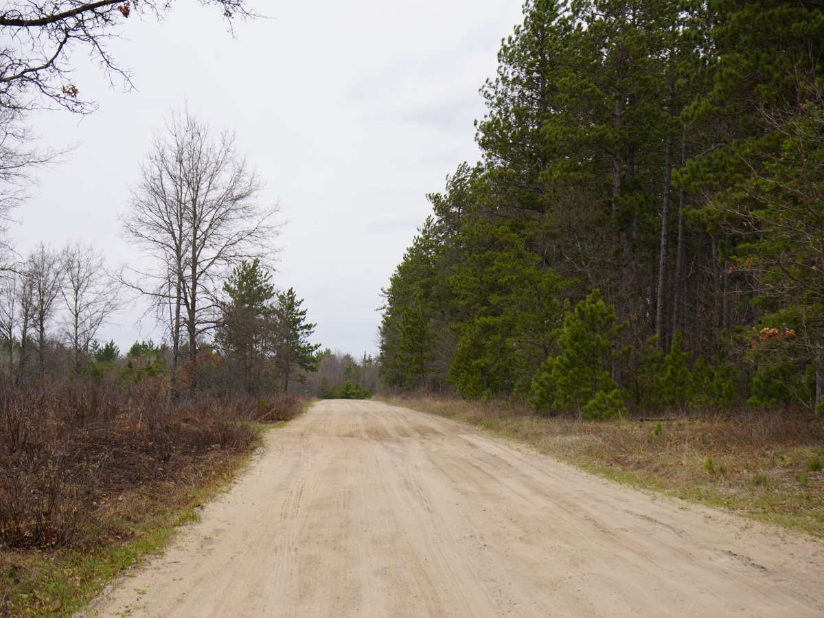 Deyarmond Valley Road photo 5