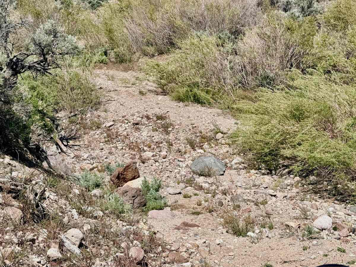 Fourmile Basin Road - FS 44164B photo 3