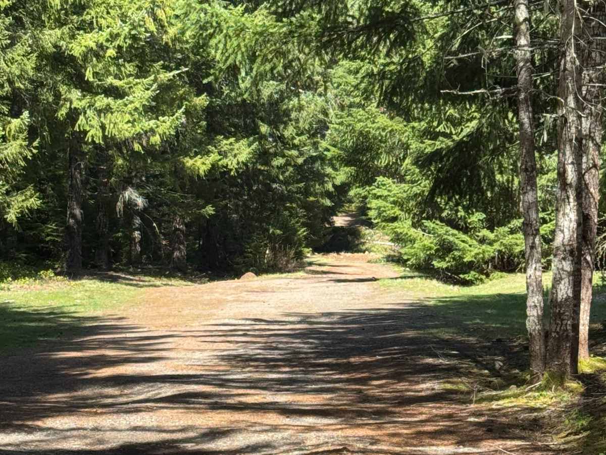 Carlton Creek Road- FS 4400 photo 4