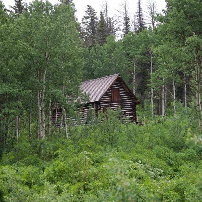 Near Beaver Pond Trail